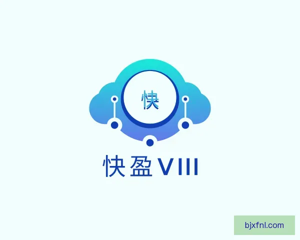 发现快盈VIII